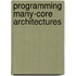 Programming Many-core Architectures