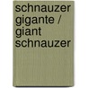Schnauzer Gigante / Giant Schnauzer by Barbara J. Andrews