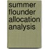 Summer Flounder Allocation Analysis