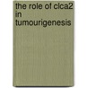 The Role Of Clca2 In Tumourigenesis by Daniela Scheer