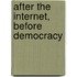 After the Internet, Before Democracy