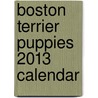 Boston Terrier Puppies 2013 Calendar by Willowcreek Press