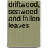 Driftwood, Seaweed and Fallen Leaves