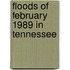 Floods of February 1989 in Tennessee