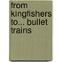 From Kingfishers To... Bullet Trains