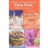 Hiking and Exploring the Paria River
