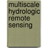Multiscale Hydrologic Remote Sensing