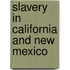 Slavery in California and New Mexico
