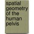 Spatial Geometry of the Human Pelvis