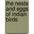 The Nests And Eggs Of Indian Birds