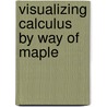 Visualizing Calculus by Way of Maple by Nadia Benakli