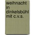 Weihnacht in Dinkelsbühl mit C.v.S.