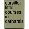Cursillo: Little Courses In Catharsis door Brian V. Janssen