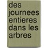 Des Journees Entieres Dans Les Arbres