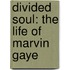 Divided Soul: The Life of Marvin Gaye