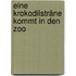 Eine Krokodilsträne Kommt In Den Zoo