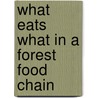 What Eats What In A Forest Food Chain by Lisa J. Amstutz