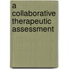A Collaborative Therapeutic Assessment door Stephen E. Finn