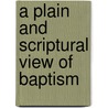 A Plain and Scriptural View of Baptism door Baker Daniel 1791-1857