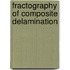 Fractography of Composite Delamination