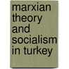 Marxian Theory And Socialism In Turkey door Ercan Gundogan