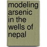 Modeling Arsenic in the Wells of Nepal door Indra Kshattry