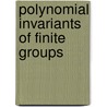Polynomial Invariants Of Finite Groups by Larry Smith