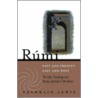 Rumi - Past and Present, East and West by Franklin D. Lewis