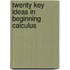 Twenty Key Ideas in Beginning Calculus