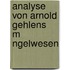 Analyse Von Arnold Gehlens  M Ngelwesen