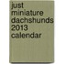 Just Miniature Dachshunds 2013 Calendar
