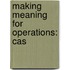 Making Meaning for Operations: Cas