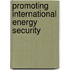 Promoting International Energy Security