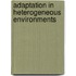 Adaptation in heterogeneous environments