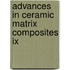 Advances In Ceramic Matrix Composites Ix