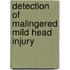 Detection of Malingered Mild Head Injury