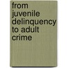 From Juvenile Delinquency To Adult Crime door Loeber