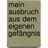 Mein Ausbruch aus dem eigenen Gefängnis