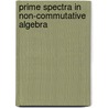 Prime Spectra in Non-Commutative Algebra door F. Van Oystaeyen