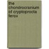 The Chondrocranium of Cryptoprocta Ferox