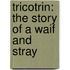 Tricotrin: the Story of a Waif and Stray