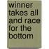 Winner Takes All and Race for the Bottom