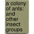 A Colony of Ants: And Other Insect Groups