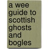 A Wee Guide To Scottish Ghosts And Bogles door Martin Coventry