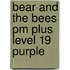 Bear And The Bees Pm Plus Level 19 Purple