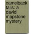 Camelback Falls: A David Mapstone Mystery