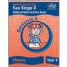 Ks2 Literacy Differentiated Activity Book door Roy Barber