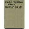 Mathe-Malblock. 1. Klasse. Rechnen bis 20 door Sabine Schwertführer