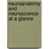 Neuroanatomy and Neuroscience at a Glance