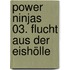 Power Ninjas 03. Flucht aus der Eishölle